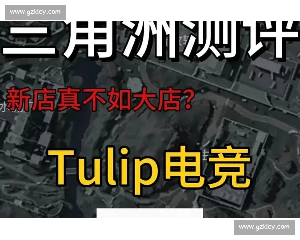 全新电竞直播平台深度解析：带你体验前所未有的电竞赛事盛宴